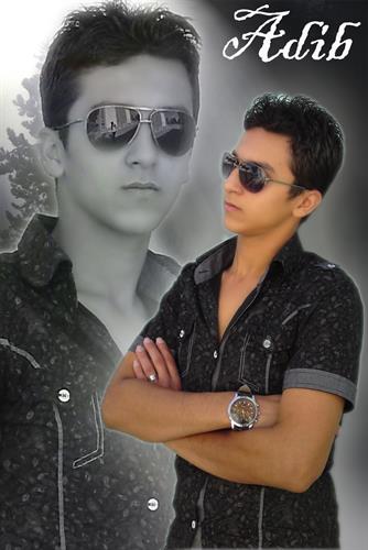 adib&nbsp;ardak