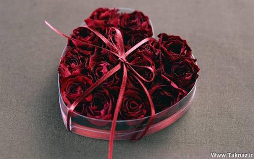 yalda&nbsp;p.a