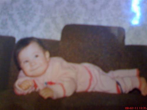 shima&nbsp;aghajani