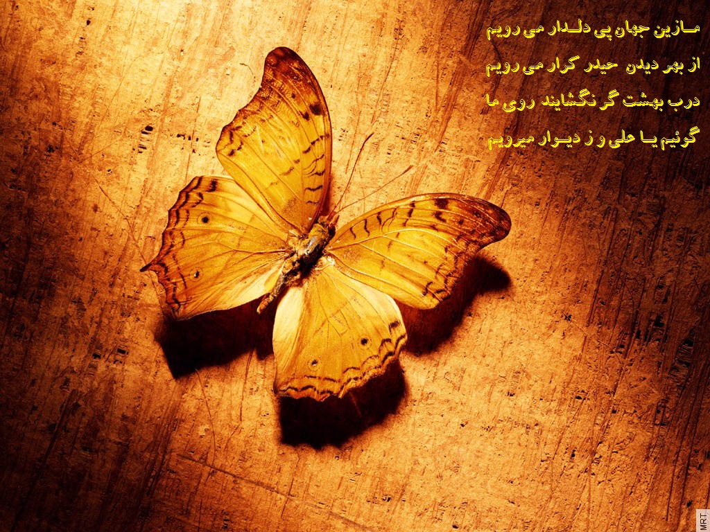 در پی دلدار