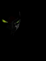 er