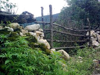 آشنایی و اجتماعی