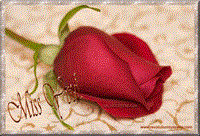 هدیه به شما