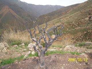 آشنایی آذریها با هم