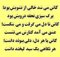کاش میشد