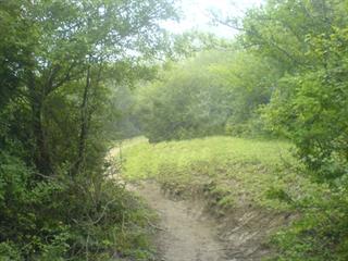 استانی.......0