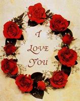 arash_tenha2