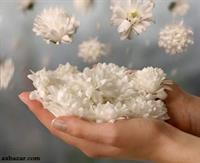 اساس زندگی