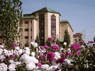 دوستی 
