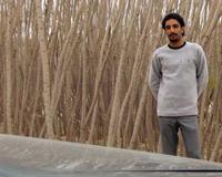 dar bishe