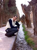 baghe fin