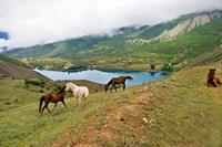 zibai