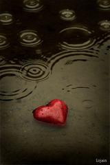 هر چی دل تنگتون میخواد بگین