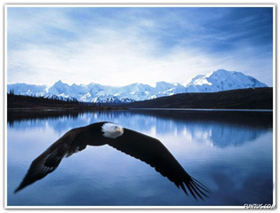 اشنايي بيشتر و جمع شدن همزبان ها دور هم