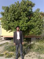 عالي