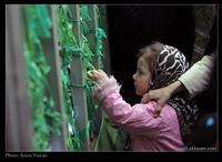 آرزوی همه
