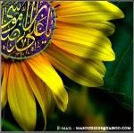 زيبا