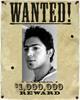 wanted