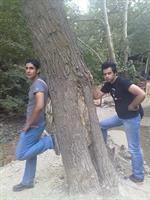 good_tehran19@yahoo.com