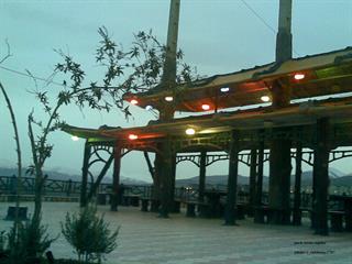 جمع اوری بچه های کرد