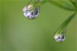 rastio 2rosti,eshgh,....