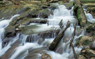 بحث های عشقولانه