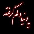 hamin
