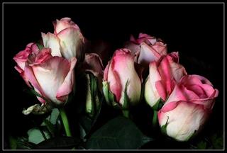 در زمینه رشد فکری و روحی 