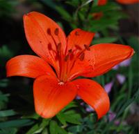 زیبایی این عکس آدمو به وجد می آره