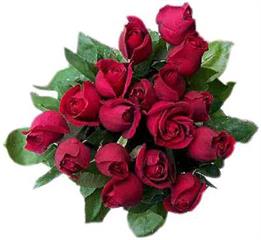 عشق های  بی حدو مرز 