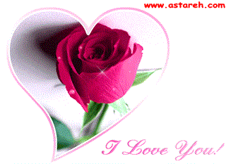 شاد بودن همه