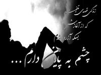 بیا ای همنفس