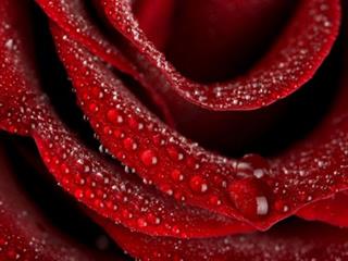 تفریحات و تورهای یک روزه