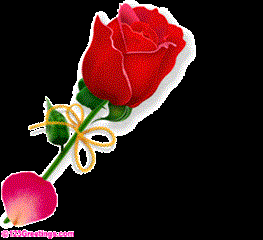 عشق-دوستی--محبت