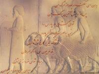 بدون شرح