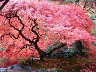 عشق،محبت،احترام،صداقت