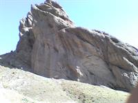 alamoot

