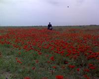 yejaei bood jay hamatoon khali
