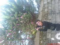 golhae ramsar