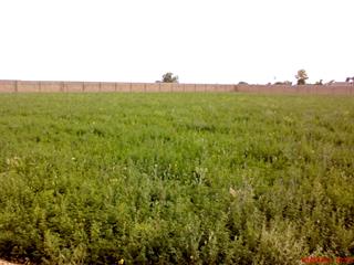 سفر و سرگرمی