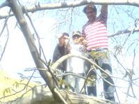 13 bedar
