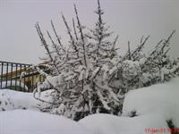 تهران زمستان 1389