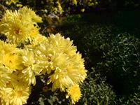 از سری عکسهایه خودم