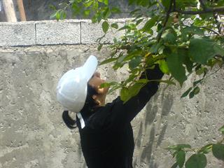 ejade tour haye shad va morfah baraye javanan