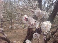 از سری عکسهایه خودم