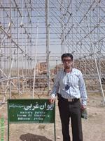ازاون تفریحاته که دوست دارم