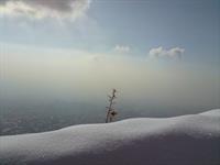 عکس حرفه ای 