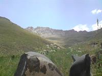 آزاد کوه

