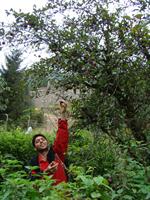 kelardasht