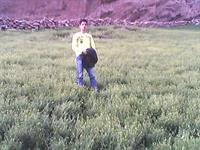 عکس گردش